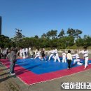 운정 태권도장 이미지