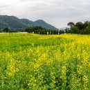 동화마을 생태공원 2 이미지