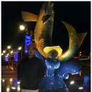 강촌목장 이미지