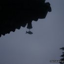 용화사 미륵불 이미지