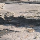 공룡 발자국화석지 이미지