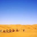 수성여행사 이미지