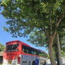 잠실역 5번출구(뒤) 이미지