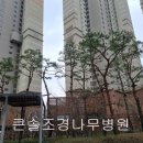 큰솔조경나무병원 이미지