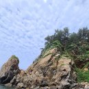 학암포 분점도 이미지