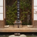 히노데 티스토리