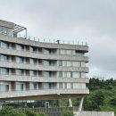세븐네이쳐 | [제주 히든 클리프 호텔 &amp; 네이쳐] 5성급 디럭스 트윈룸 정원 전망 후기