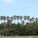 한림공원 이미지