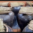 홍어대가 이미지