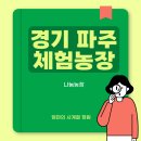 [경기 파주 아이랑 갈만한 곳] 자연 속 힐링 공간 ‘나눔농장’ 후기