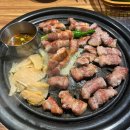 가마못카센타 이미지
