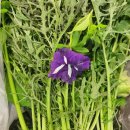 광준농장 이미지