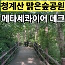 메타세콰이어 데크길에 계곡 발 담그기까지! 청계산 맑은 숲 공원 가족 나들이