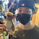 쭈락 네이버블로그