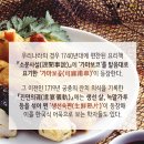 어묵스토리