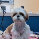 마실오개 이미지