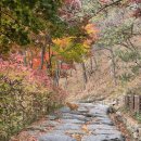 용봉산 공영주차장 | 블랙야크 100대 명산, 용봉산 후기(feat. 산림전시관)