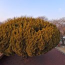 청도강변돌고래펜션 이미지