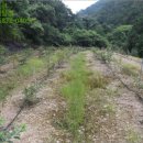 산외면~종산리 이미지