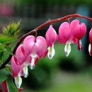 행복을만드는사람들 이미지