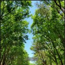 나봄야영장 이미지