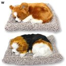 러블리펫 이미지