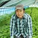 축령산 농장 이미지