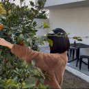 무라소원 이미지