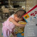봉담 어린이서점 책사랑 2차 후기｜책육아의 변화, 스스로 책을 찾는 아이가 되었어요
