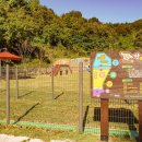 반려동물놀이터 이미지