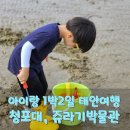 아트 | 아이랑 1박2일 태안여행 (청포대 파티파티펜션, 해루질, 안면도 쥬라기 박물관)