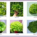 미광목장 이미지