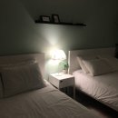 꽃하루방 이미지