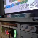 중앙상가시장 | 제1회 진해 &#39;화천상가 빛거리축제&#39; 방문 후기✨ (진해중앙시장, 밴드기린)