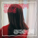 의정부경전철 경기도청북부청사역 | 의정부 미용실 :: <트리니티헤어 금오점> 봄맞이 톤다운 염색 by 예진 디자이너님