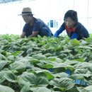 하나원주유소 이미지