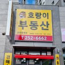 호랑이 공인중개사사무소 이미지