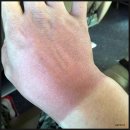 김뽕똘 | 2017년 7월 무창포 광어 다운샷 후기