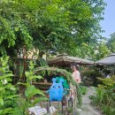 종로-연건-종로-연-518 | 안국역 동화속에 온 것 같은 카페 <도토리 가든> 내돈내산 솔직후기