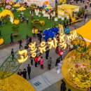 고흥돌담한옥민박 이미지