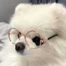 발편한동물병원 이미지