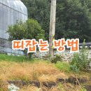 쌍향수길 이미지