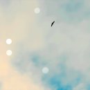 선회농장 이미지