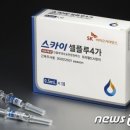 스카이지씨