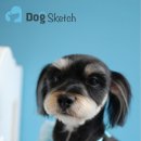 도그스케치 이미지