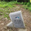 자연알로(광덕) 네이버블로그