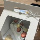 일산 케이크 맛집 추천 | 파티세리누보네 - 나의 작은케이크 🍰🎂🧁
