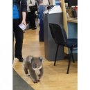 공감약국 이미지