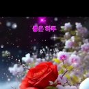 들꽃풍경