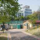 동작충효길 5코스 보라매길 이미지